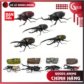 Mô hình các loài bọ cánh cứng chính hãng Bandai - Deagostini World Insects: Bọ Hercules, bọ voi...