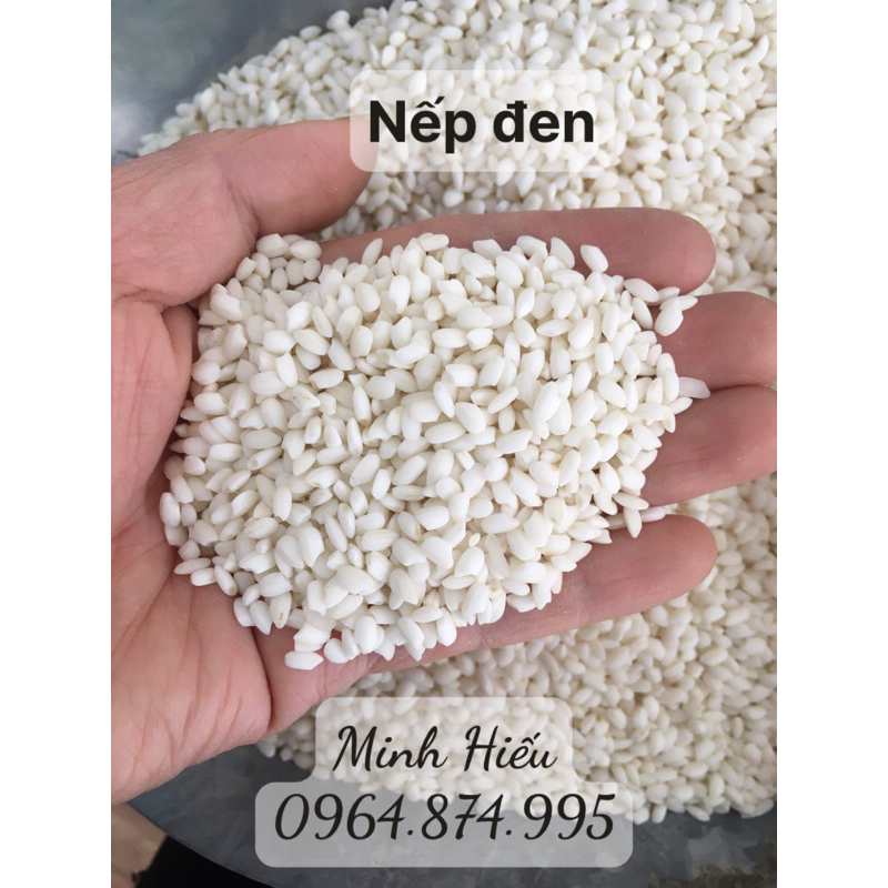 gạo nếp đen túi 5kg (hải hậu )