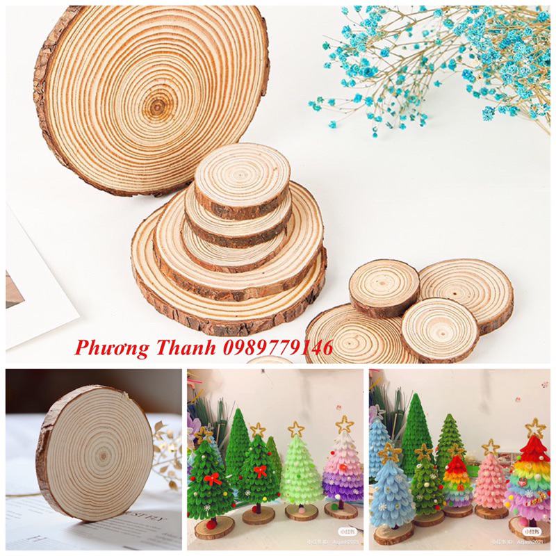 1 lát gỗ tròn làm đế cây thông noen
