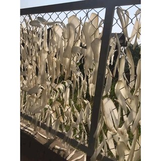 Củ cải khô đầm hà