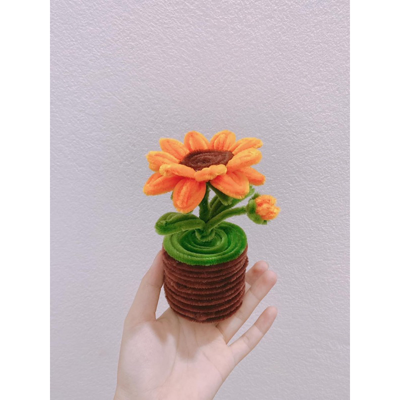 Bó kẽm nhung nhiều  màu sắc 200 cành