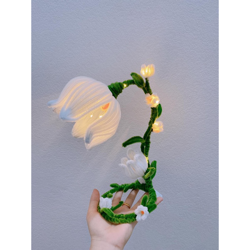 Bó 50 cành kẽm nhung toàn màu hot.