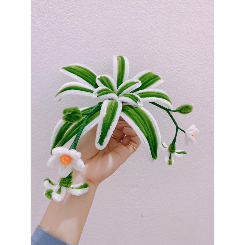 Bó 50 cành kẽm nhung toàn màu hot.