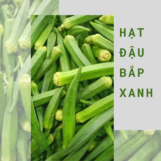 Hạt giống đậu bắp xanh quả dài F1 cao sản