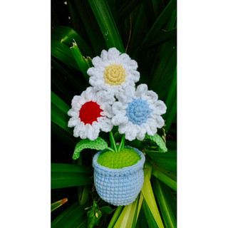 Chậu hoa tulip, cúc, hướng dương len handmade