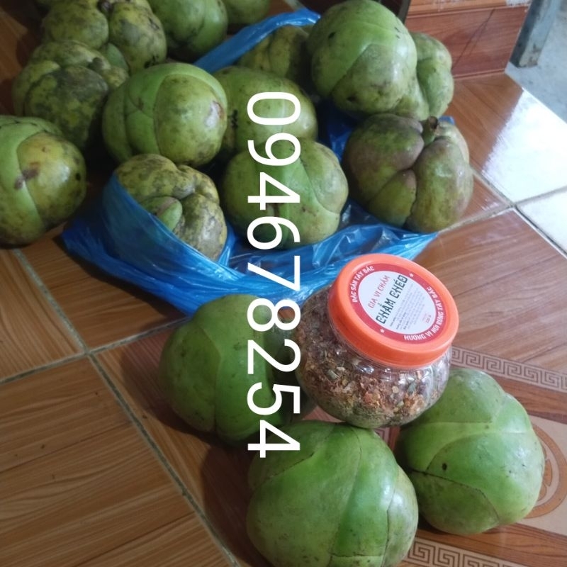 Combo 1lọ chẩm chéo với 3 quả sổ rừng