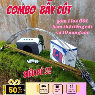 combo bẫy cút gồm loa 001 màu bất kỳ kèm thẻ cút và 10 cung cút màu cỏ khô