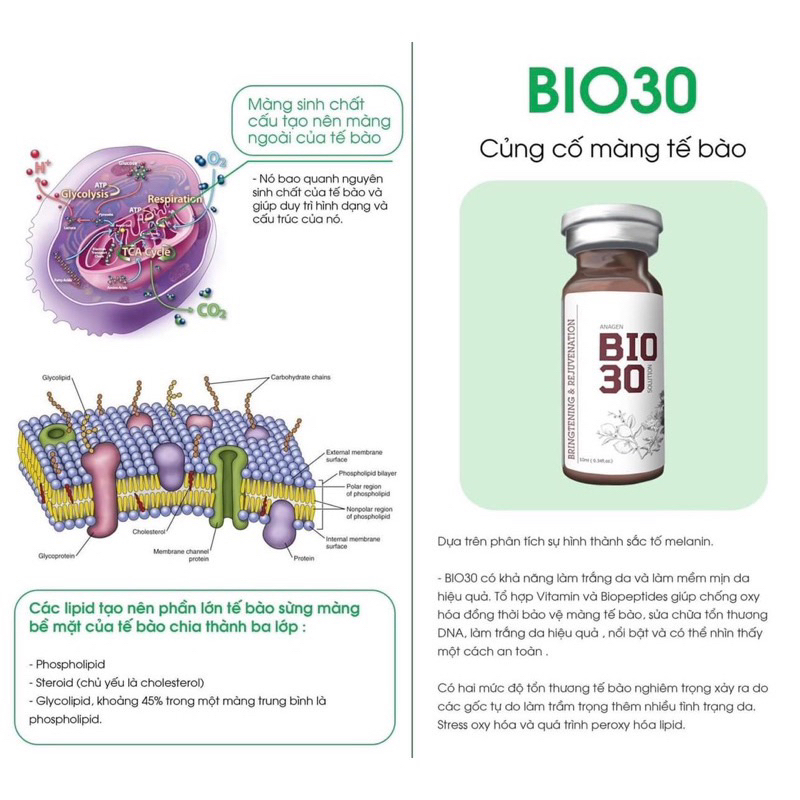 Serum Chống Lão Hoá Làm Trắng Da Bio30
