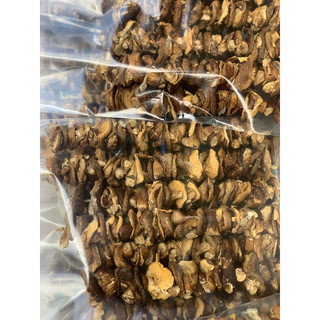 Nấm hương rừng