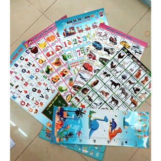 Decal nhựa dán tường cho bé (6 tờ: Bảng chữ cái, số đếm, con vật, trái cây, giao thông, thước đo, có keo sẳn)