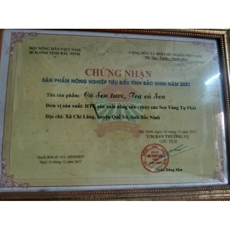 Trà củ sen -HTX Sen Vàng TP