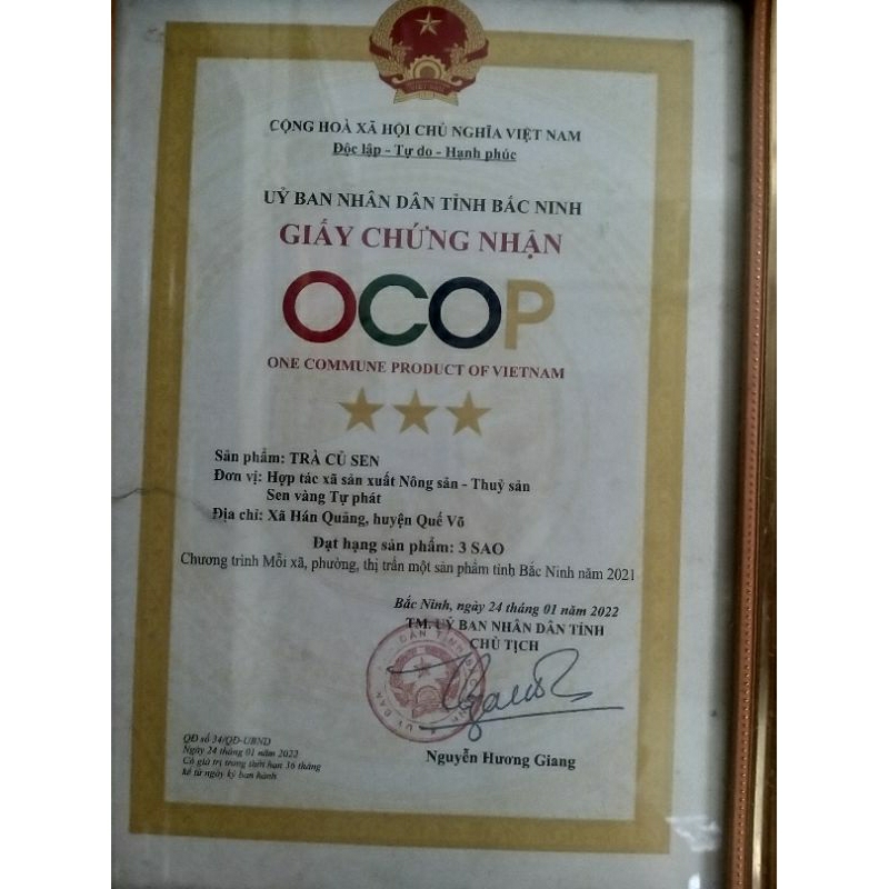 Trà củ sen -HTX Sen Vàng TP