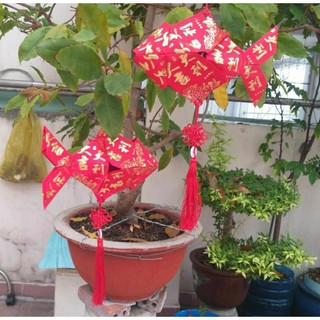 1 cặp cá chép lung linh treo trang trí Tết