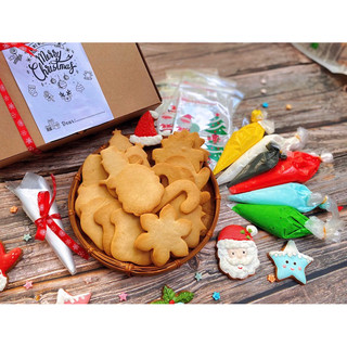 sét tự vẽ bánh quy noel 20 bánh