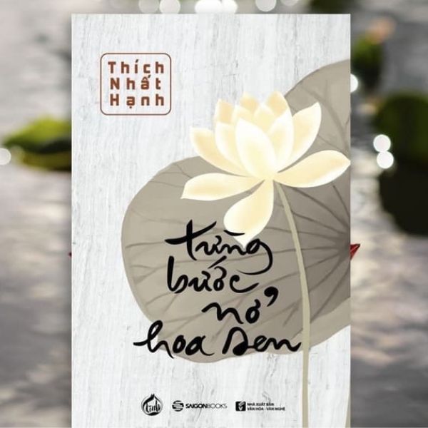 Từng bước nở hoa sen