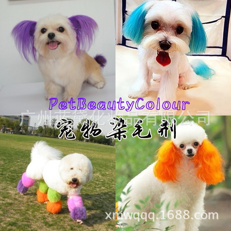 Thuốc nhuộm lông /Màu nhuộm lông cho chó mèo Pet Stain 100g