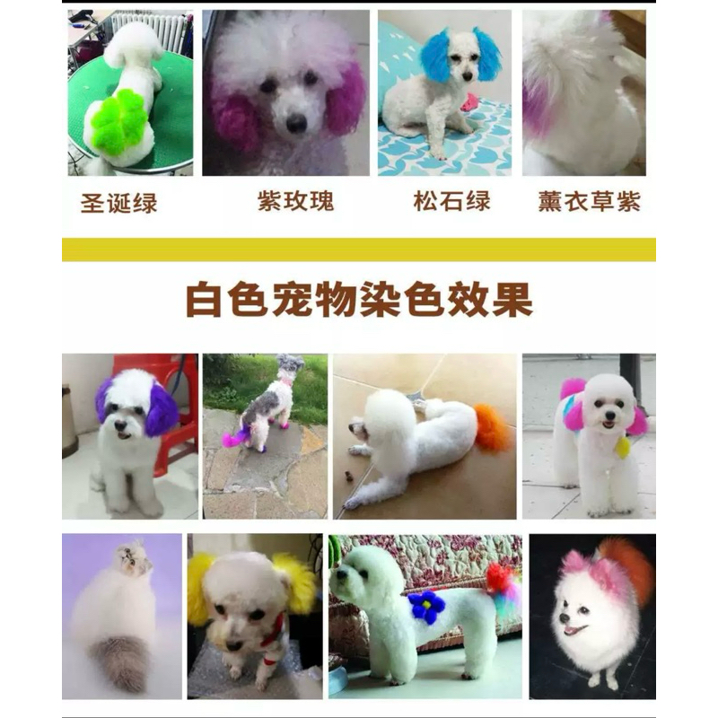 Thuốc nhuộm lông /Màu nhuộm lông cho chó mèo Pet Stain 100g