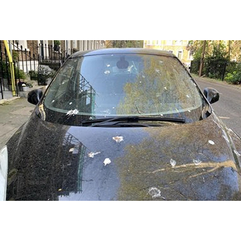 Chai Tẩy Nhựa Đường Ôtô Xe Máy - Tẩy Băng Dính, Keo Decal, Kẹo Cao Su Trên Kính, Sàn Nhà CARTY Stick