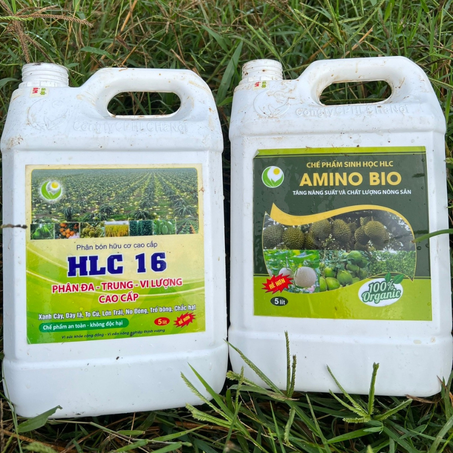 HLC 16 & AMINO CAN 5L - Tăng cường sức đề kháng, tăng trưởng nhanh, nuôi dưỡng cây mạnh mẽ