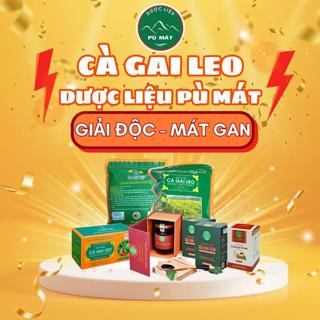 Cà gai leo dược liệu pù mát chuẩn ocop 4 sao giúp mát gan thanh lọc cơ thể, trà cà gai leo túi lọc, viên cà gai leo
