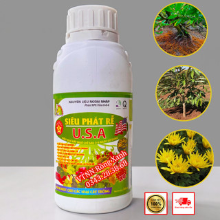 Phân Bón Siêu Phát Rễ USA kích rễ cực mạnh bung chồi đâm tược bung chèo phục hồi cây xanh cây mướt lá