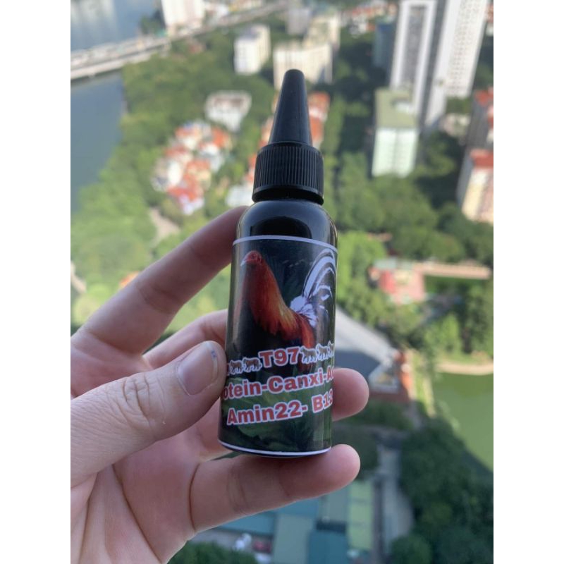 T97 nuôi hừng gà