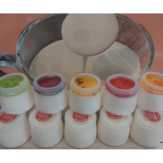 Combo 500 hũ sữa chua HDPE 120 ml