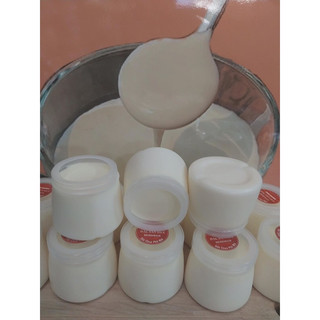 Combo 500 hũ sữa chua HDPE 120 ml