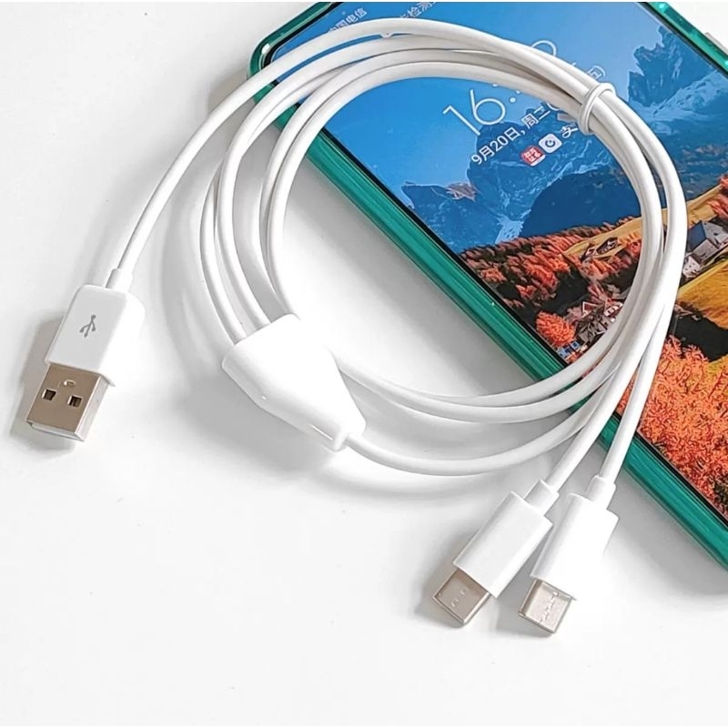 Dây cáp usb 2in1 Type C, Micro. Truyền dữ liệu + Sạc Pin 1m