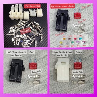 Hộp cầu chì xe máy