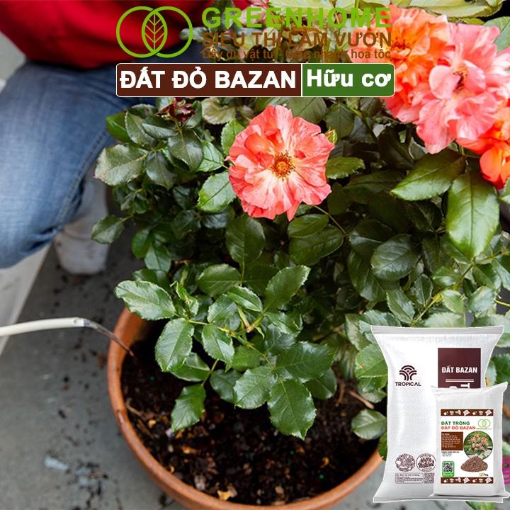 Đất Đỏ Bazan Greenhome, Bao 6kg, Đất Trồng Cây, Bổ Sung Phân Hữu Cơ, Vi Sinh Trồng Hoa Hồng, Kiểng Lá, Rau Sạch