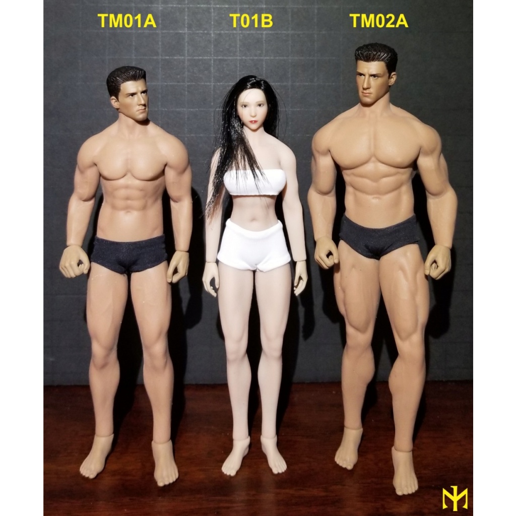 Mô hình Phicen 1/12 Nam chính hãng rẻ nhất - Custom figure