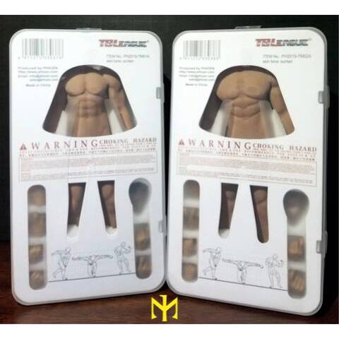 Mô hình Phicen 1/12 Nam chính hãng rẻ nhất - Custom figure