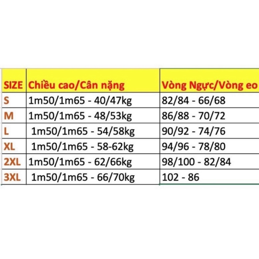 Áo Dài Cách tân nữ  Suông Chất Liệu Tơ Crep Cao Cấp 4 TàThêu Hoa Nét Đẹp Truyền Thống và Hiện Đại