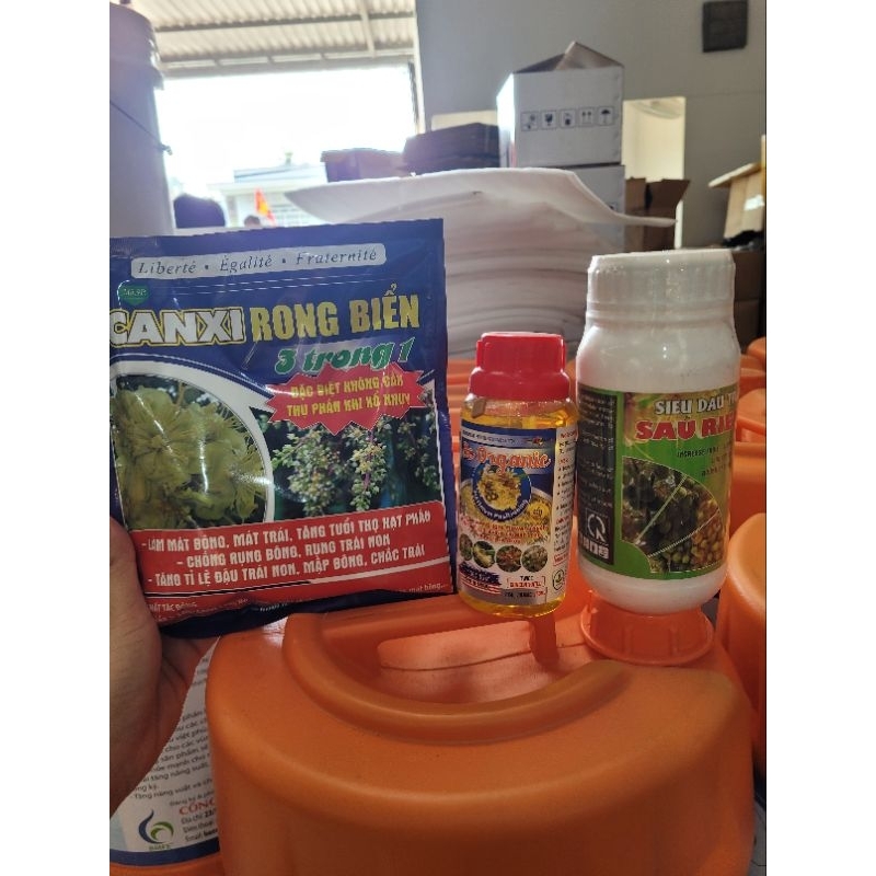 Bộ Đôi Đậu trái Trước và Sau Xổ Nhụy