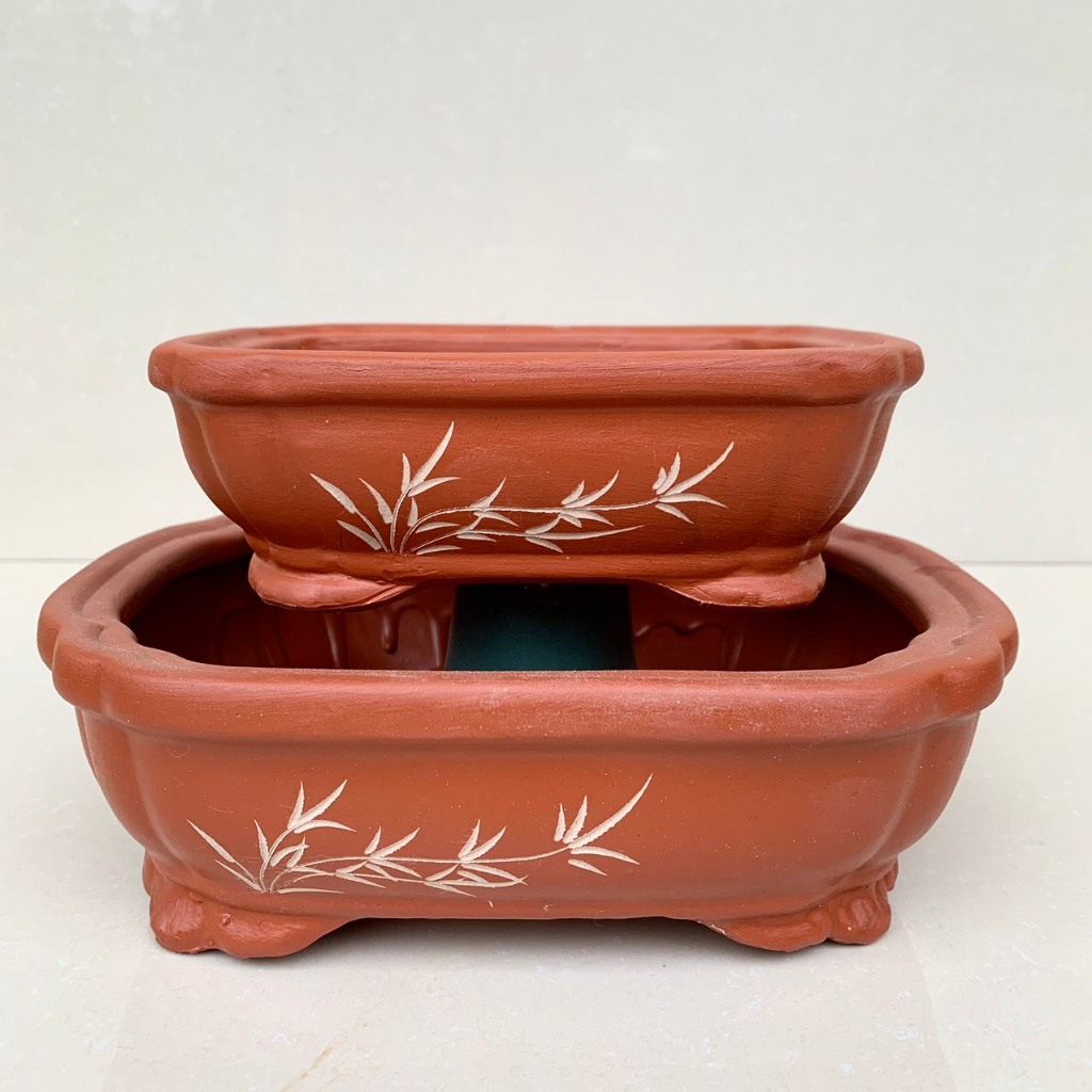Chậu Áng mây bonsai cây cảnh sen đá màu đỏ 2 size SP718