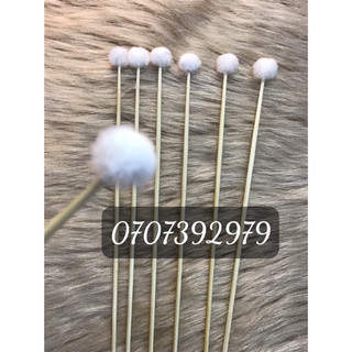 Bông se tai lông vịt bịch 100 cây