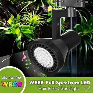 Week - đèn led rọi week y30 màu wrgb full quang phổ cho bể bán cạn, bể thuỷ sinh