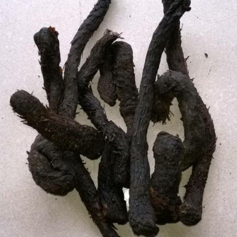 nhục thung dung 500g - 1kg