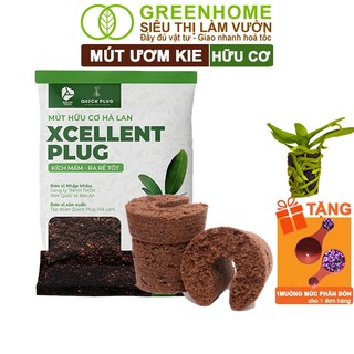 Mút Ươm Kie Greenhome, 6x6x4cm, Giá Thể Hà Lan, Hữu Cơ, Kích Rễ, Ươm Hạt, Chiết Cành Phong Lan