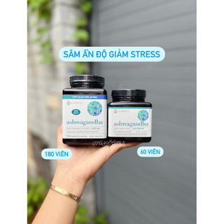 Nhân sâm Ấn Độ Youtheory Ashwagandha 1000mg 180 viên nội địa Mỹ