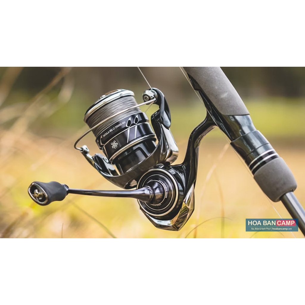 Máy Câu Dọc Daiwa Tatula MQ LT | 2023