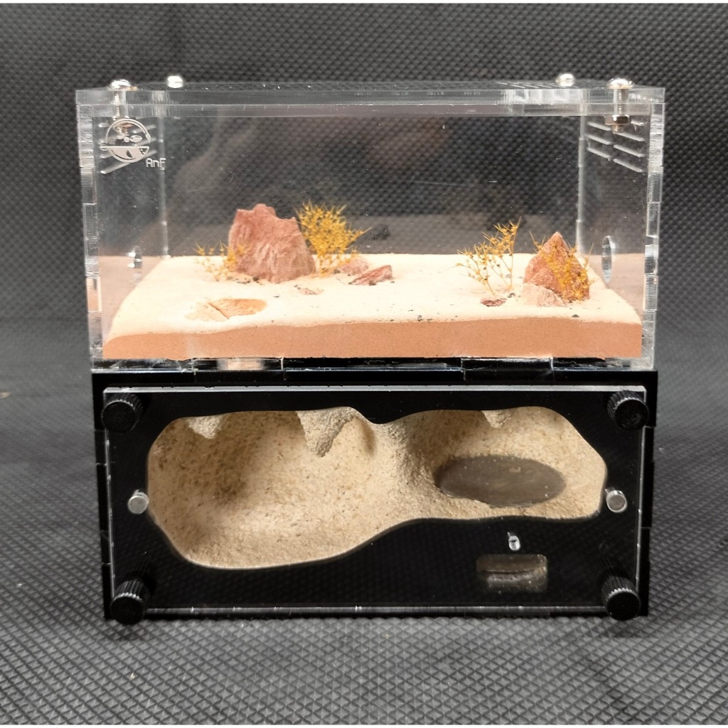 Hộp nuôi kiến H02/ Tank kiến H02