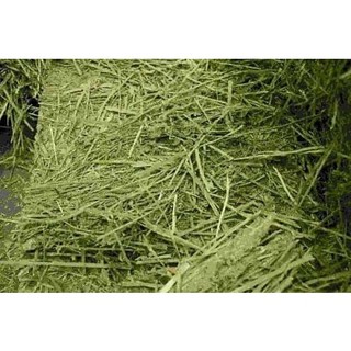 Túi 500gr cỏ khô alfafa cho thỏ, bọ, bò,..
