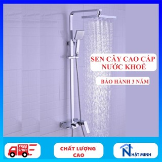 Sen cây vuông cao cấp, sen cây tắm đứng hàng đồng loại đẹp nước khoẻ DP05A