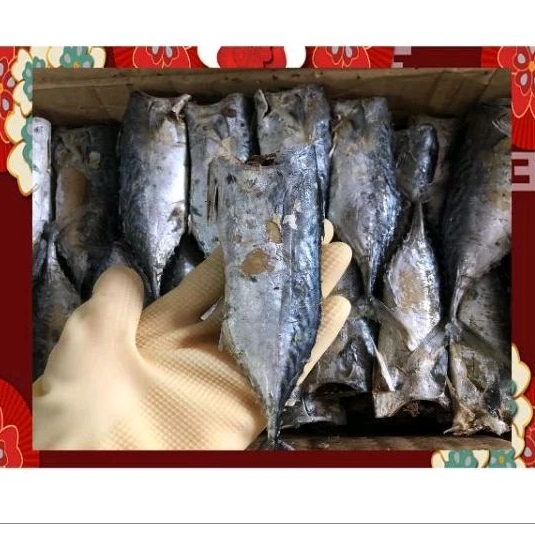 1Kg khô cá ngừ sấy mặn cỡ 14-16 con 1 cân