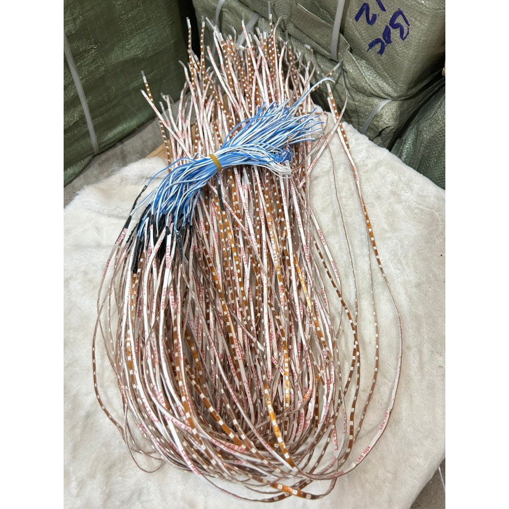 Dây led nháy đuổi 1m