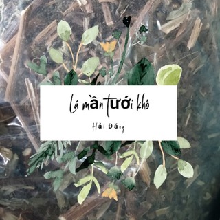 Lá mần tưới trị bọ chó bọ chét túi 0,5 🍁🍁 TẶNG CÂY GIỐNG MẦN TƯỚI 🍁🍁 Với đơn hàng thanh toán trước