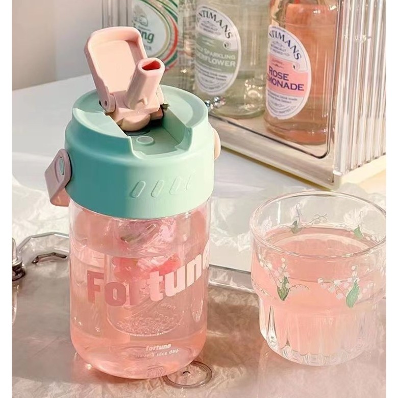 Bình nước trong suốt 600-800ml có ngăn lọc trà kèm ống hút LILA BNBELIEVE58