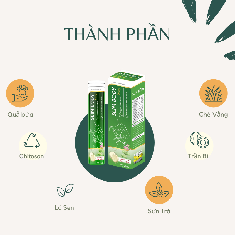 GIẢM CÂN CẤP TỐC VIÊN SỦI  SLIM BODY BEAUTY  THÀNH PHẦN  HIỆU QUẢ GẤP 5 LÂN